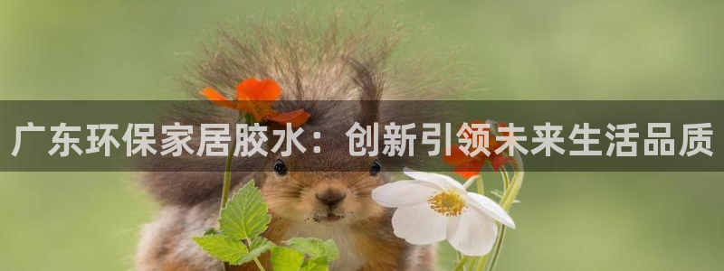 有没有用usdt做矿工费的钱包