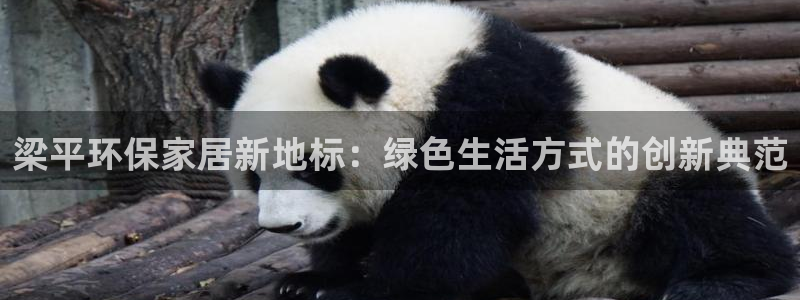 Usdt钱包当前账户钱包的权限已被修改
