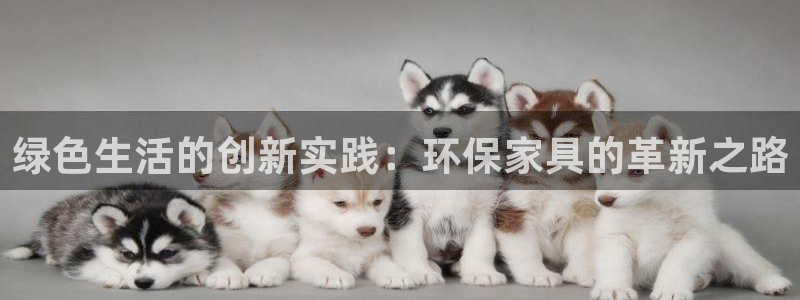usdt钱包哪个最安全