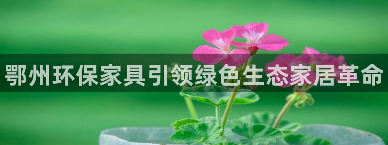 怎么查询usdt的地址
