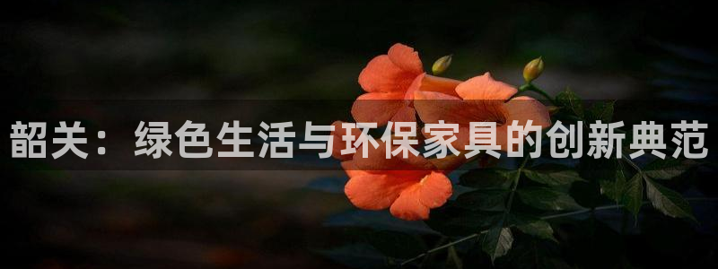 USDT钱包TF字母开头是什么
