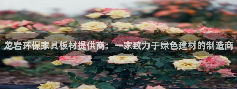 怎么冲usdt