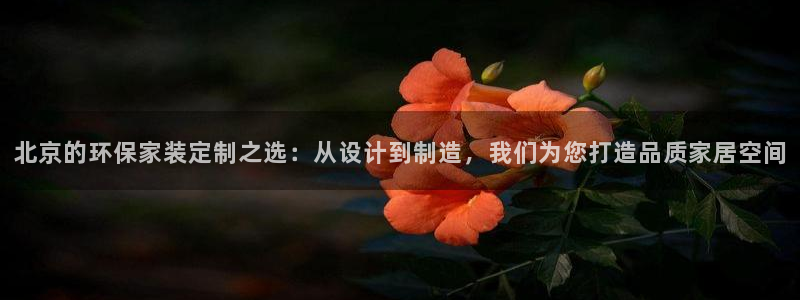usdt国外