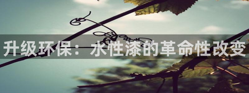 钱包usdt怎么买bnb