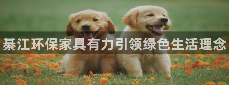 交易usdt被抓