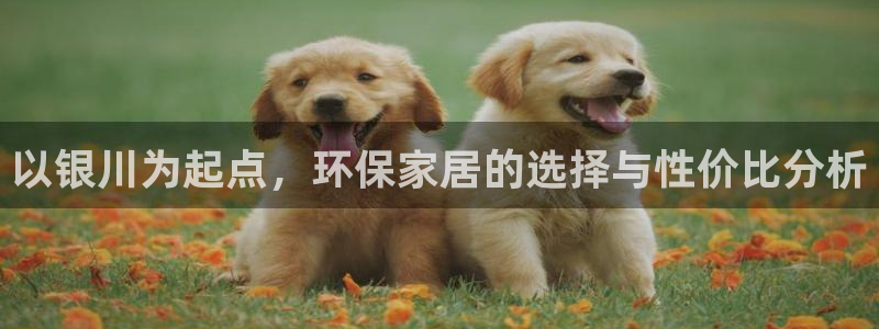 usdt钱包开发