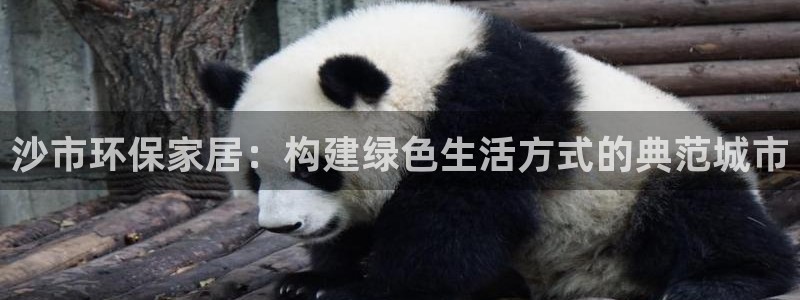 usdt钱包中文版官方下载