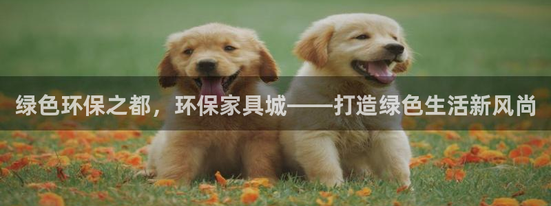 国外usdt钱包