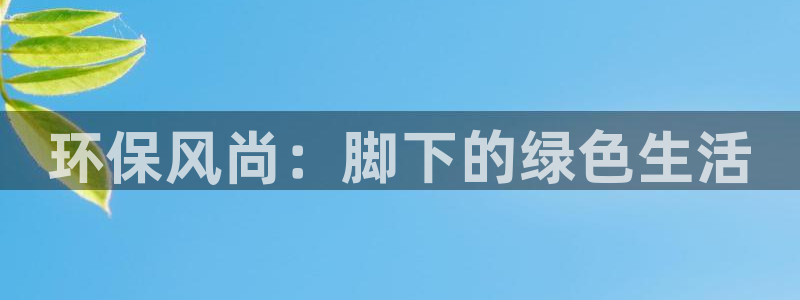 usdt钱包怎么用的