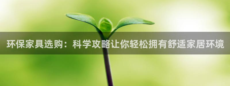 usdt持币查询