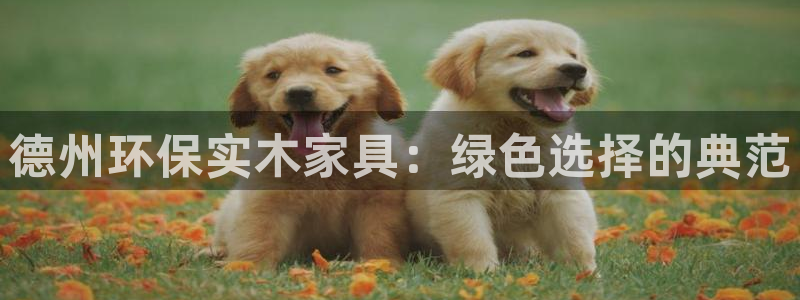 Usdt钱包截图