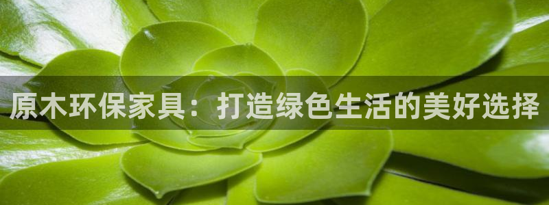 能存usdt的钱包