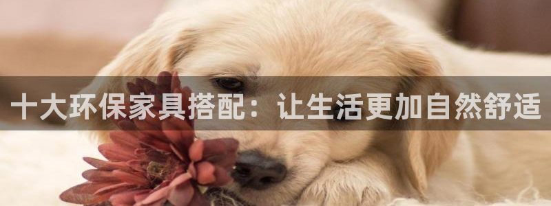usdt代币的地址