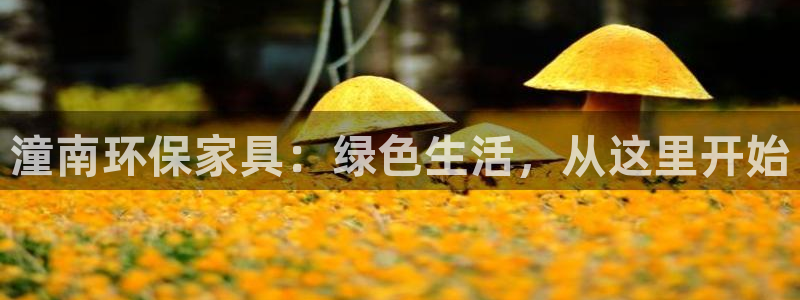 USDT钱包地址精度