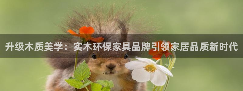 下载USDT具体步骤