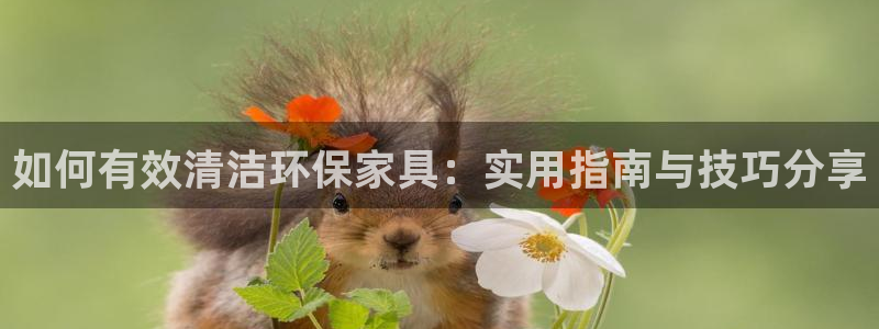 usdt的钱包余额图片