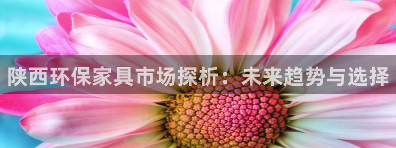 usdtbtceth什么区别